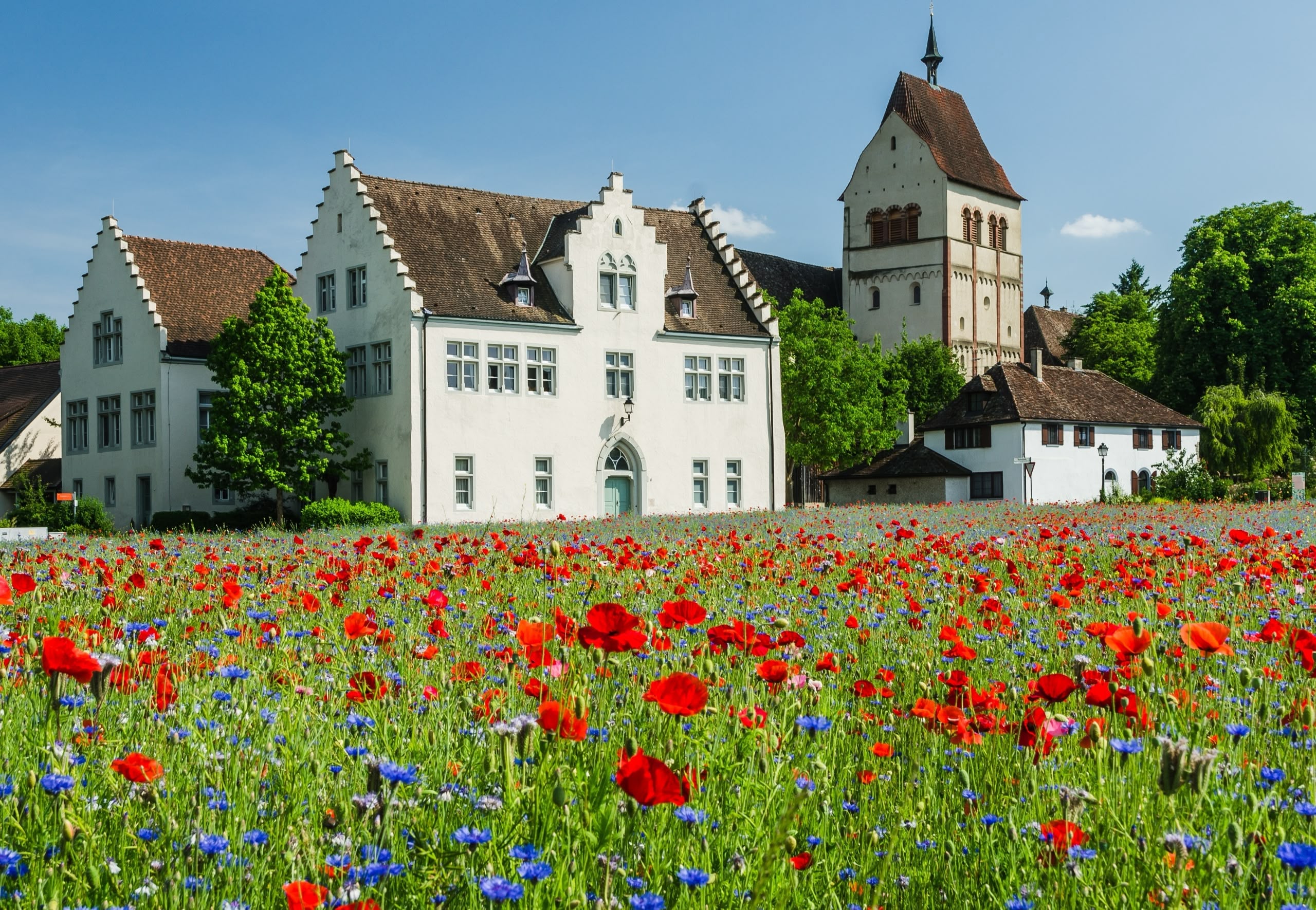 Marx Managt Reichenau Klosterkirche Marx Managt Reichenau Klosterkirche