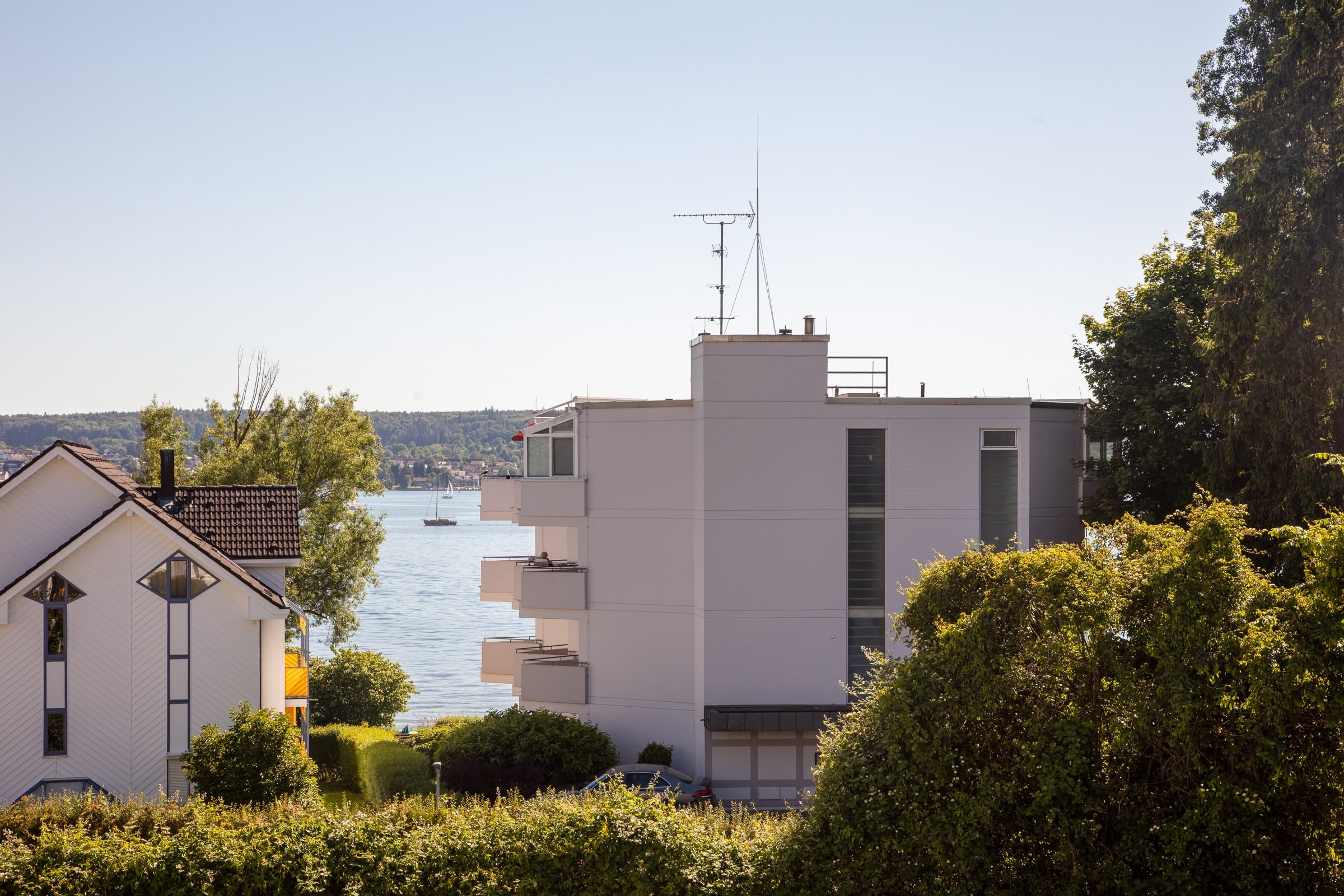 Marx managt Schilfgras Seeblick 1 Marx managt Schilfgras Seeblick 1