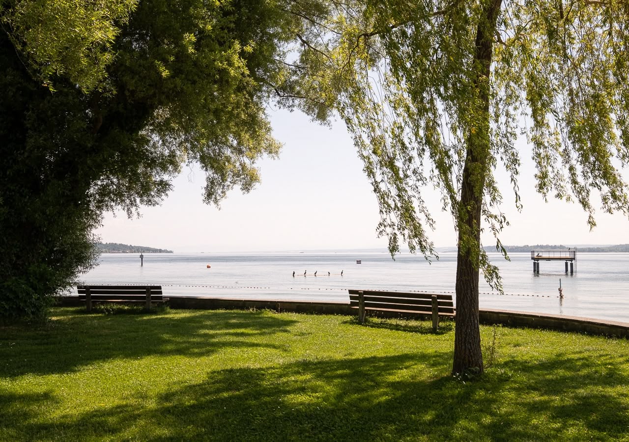 Marx managt Strandgut Umgebung Bodensee