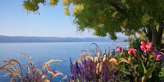 Beitrag Bodensee mal anders