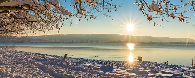 Winter am Bodensee
