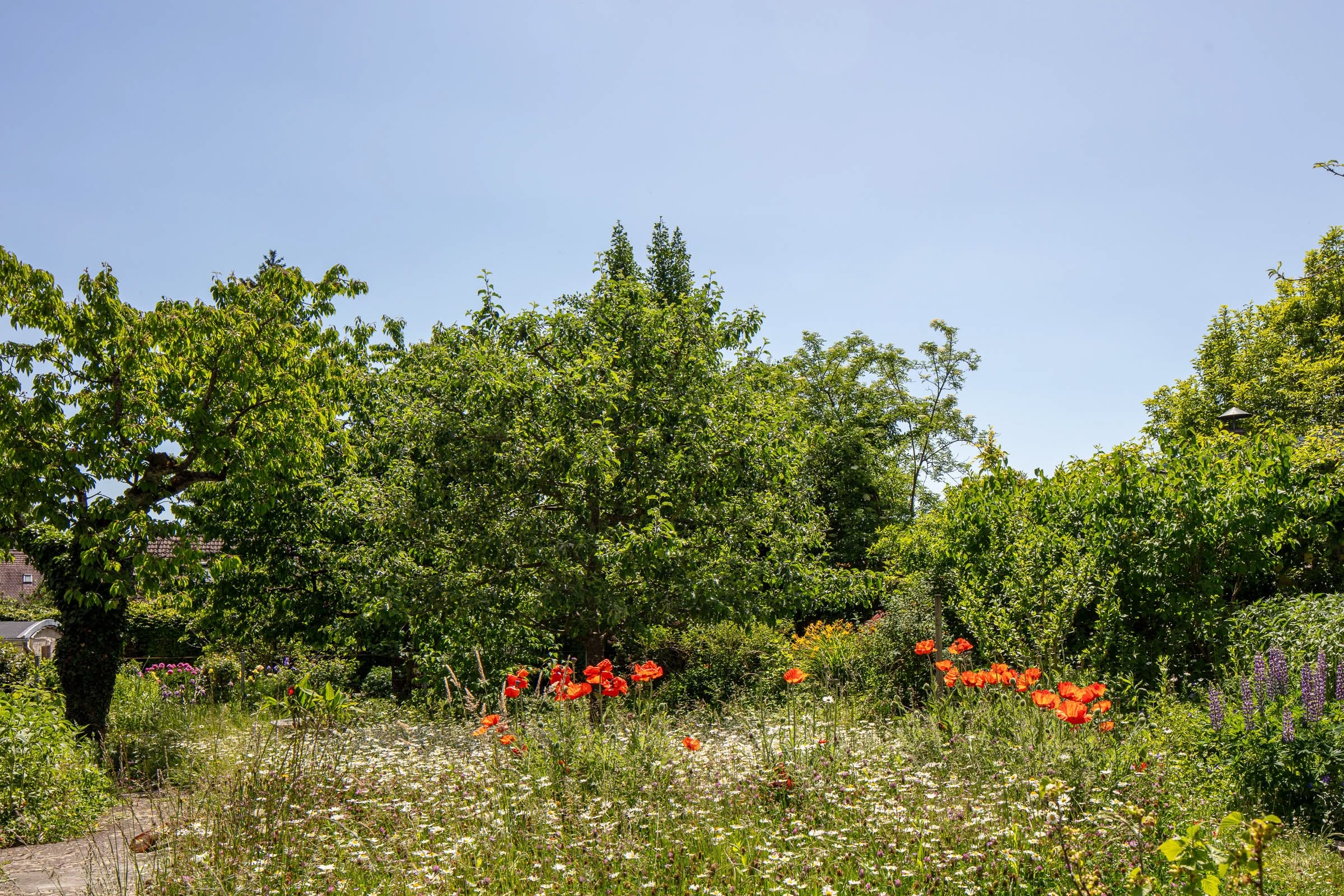 Marx Managt Ferienwohnung Altstadtliebe Garten 1